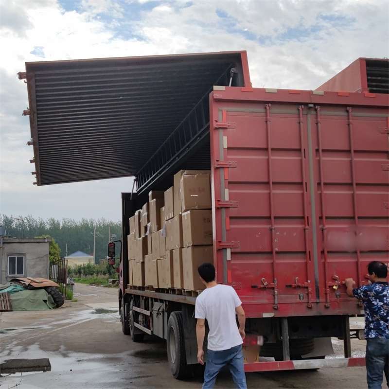 盘龙区扎囊县：物流专线的高效货运之旅