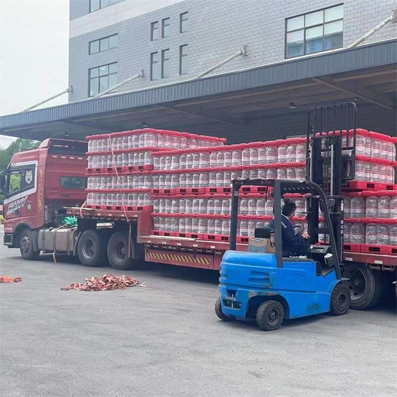 盘龙区雨城区物流：多元服务与高效运输线路探秘